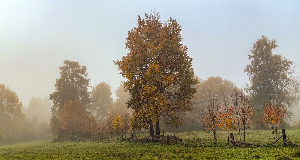 Photograph by Наиль Шакиров