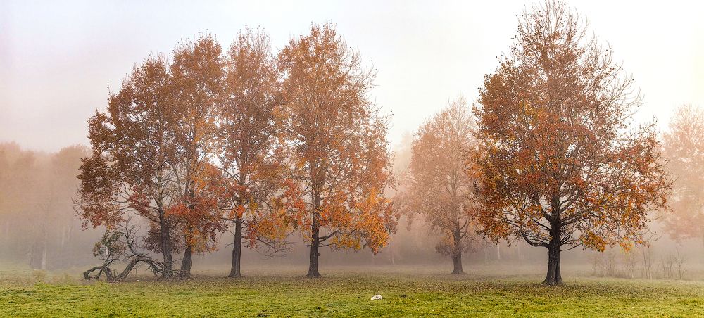 Photograph by Наиль Шакиров