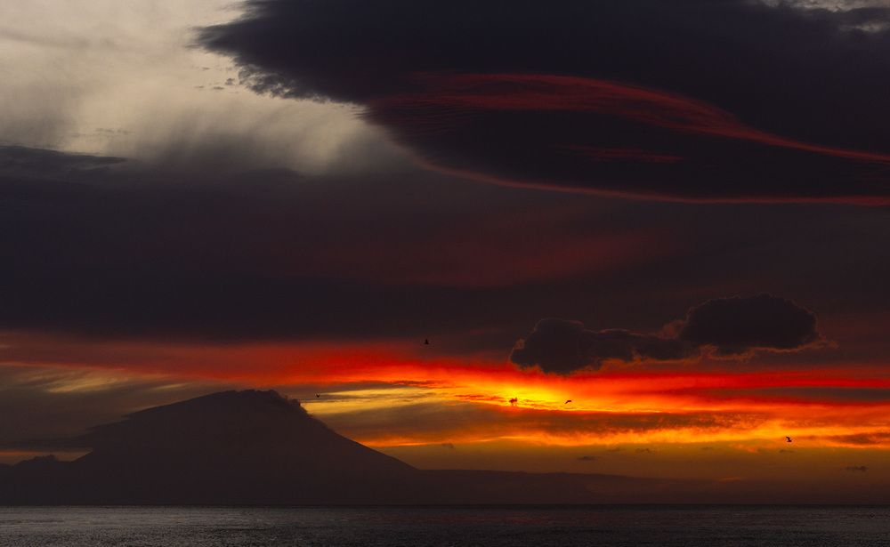 Фотография автора Анатолий Макоедов