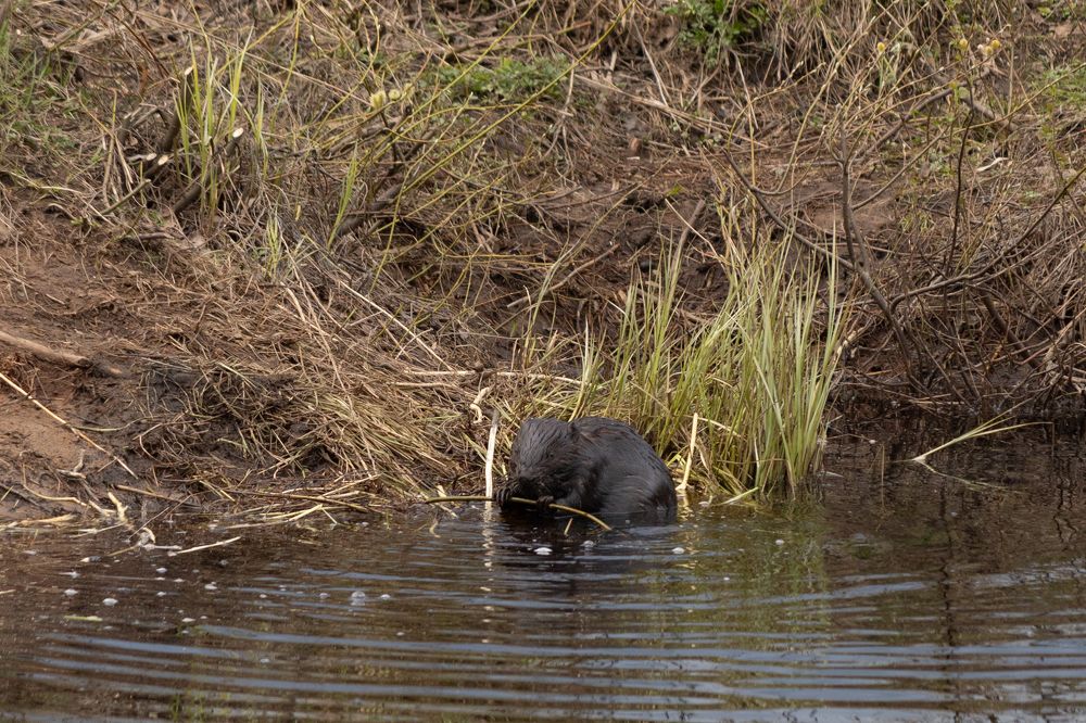 В наших краях