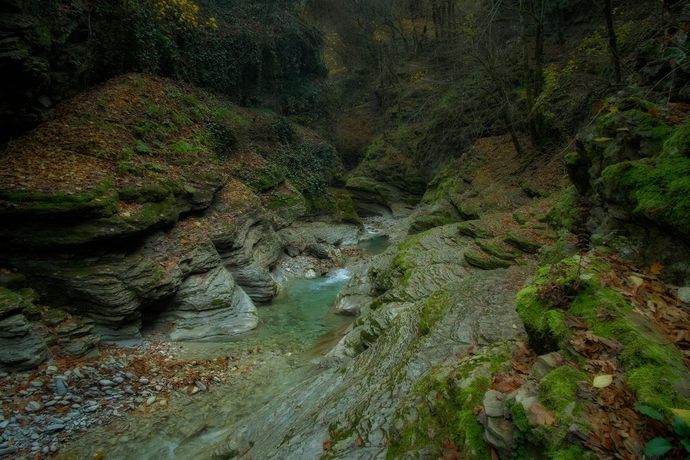 Photograph by Олеся Федосеенкова