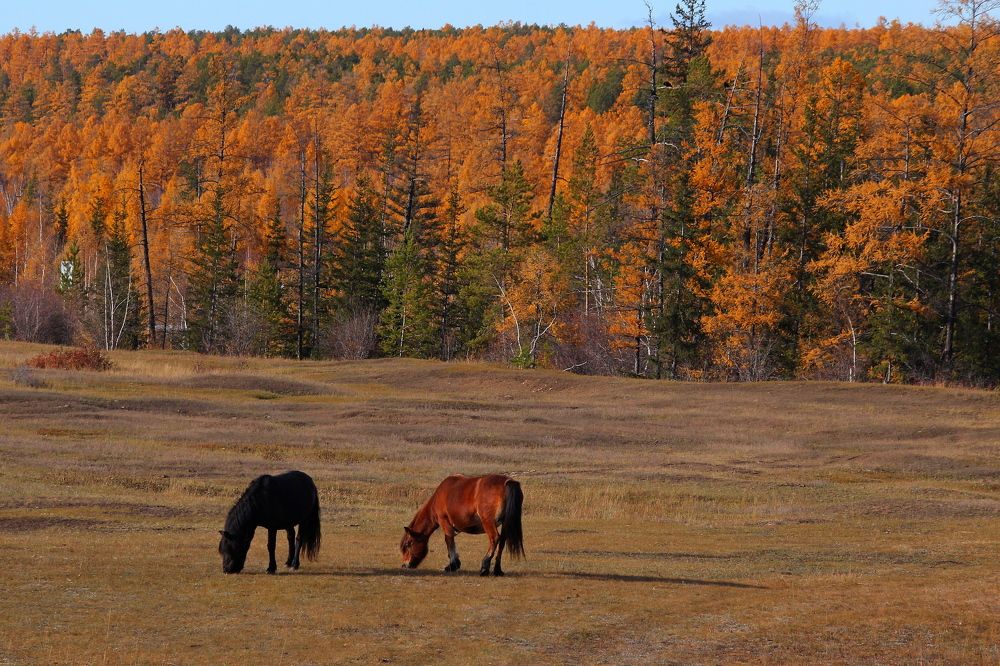 Photograph by Александр Велигура