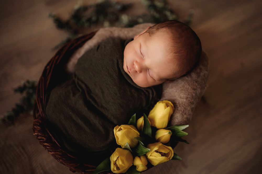 Photograph by Beáta Schwarcz