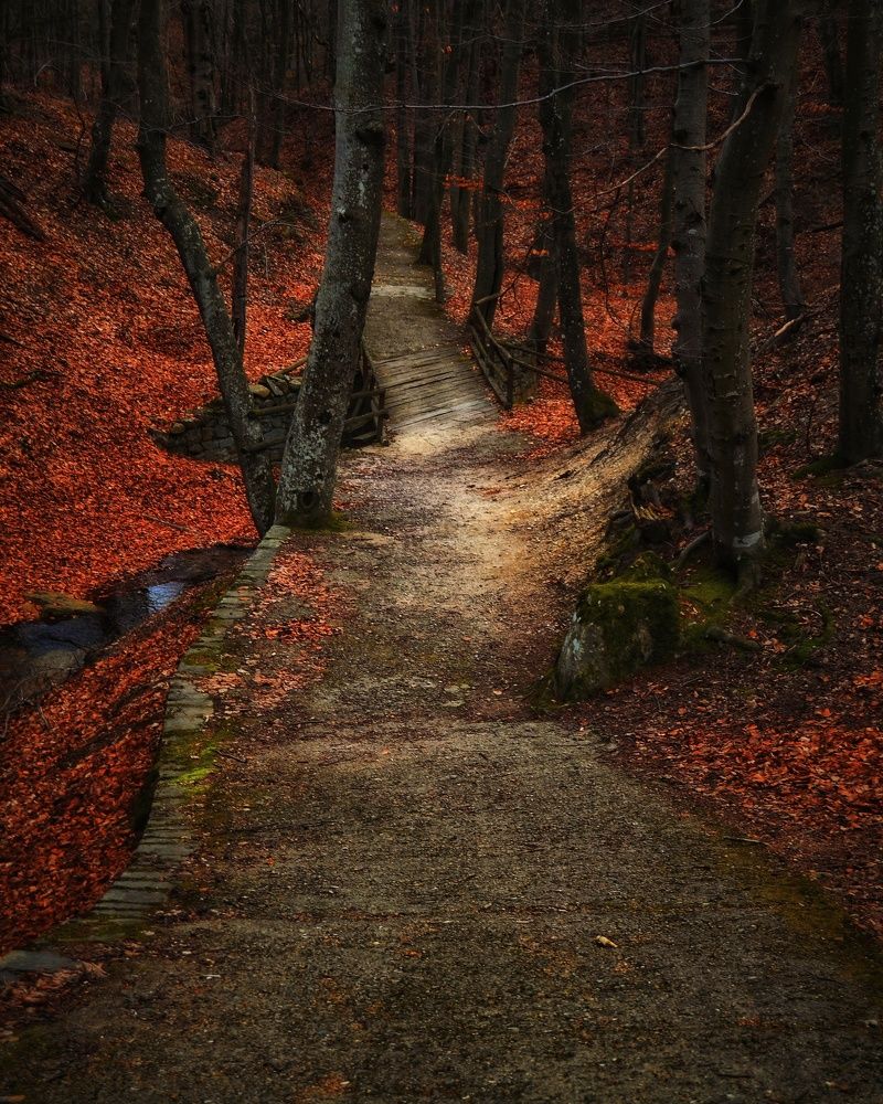 Фотография автора Юлияна Стоянова