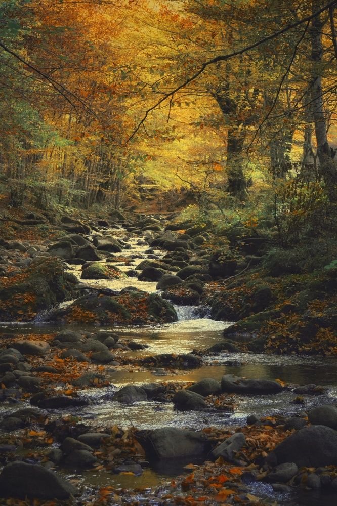 Фотография автора Юлияна Стоянова