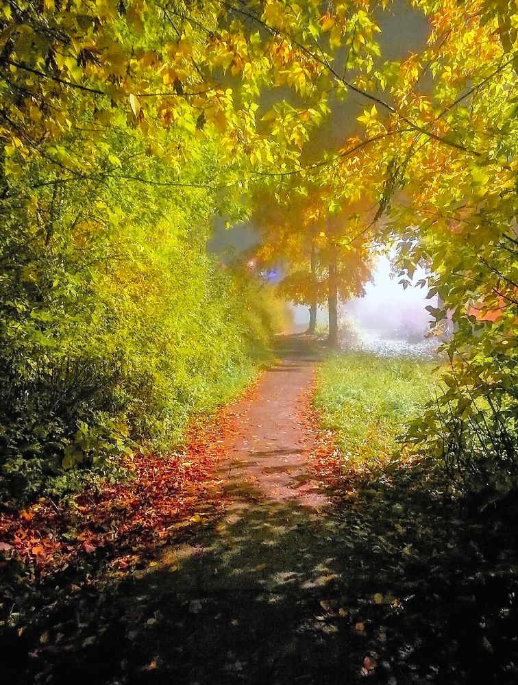 Photograph by Гульнара