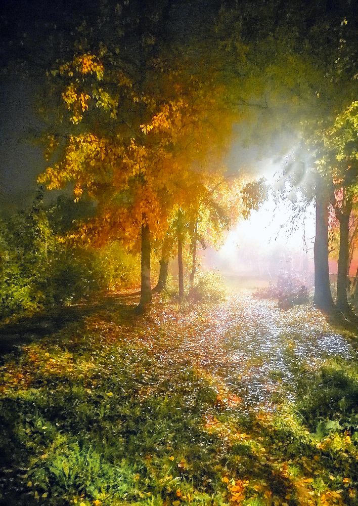 Photograph by Гульнара