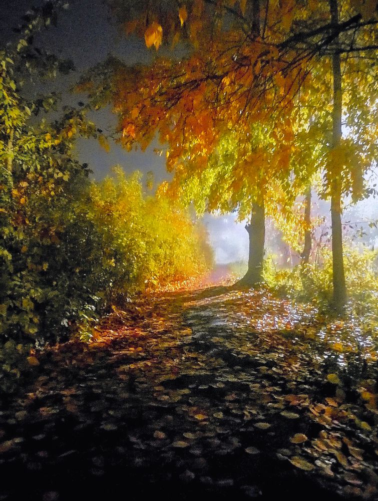 Photograph by Гульнара