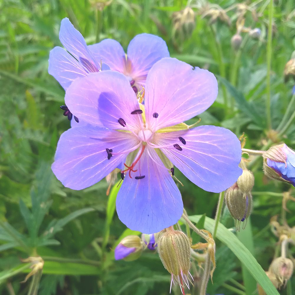 Photograph by Татьяна Февральская