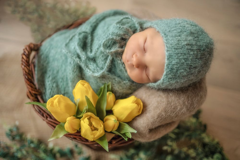 Photograph by Beáta Schwarcz