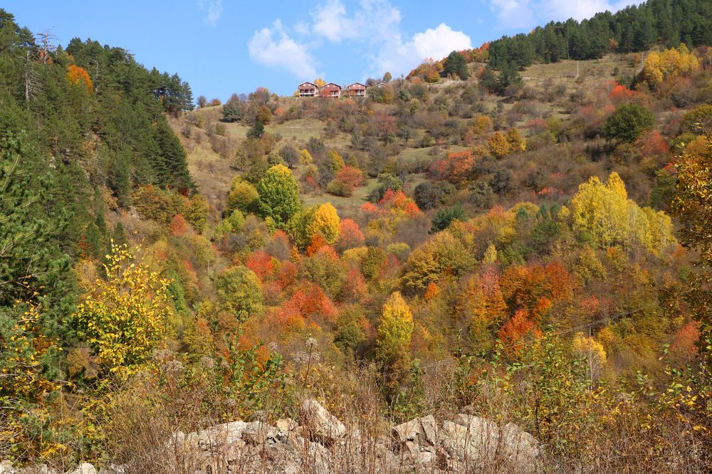 Photograph by Cengiz Yalcin