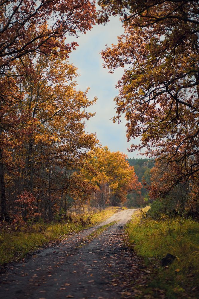 Photograph by Марина Пехтерева