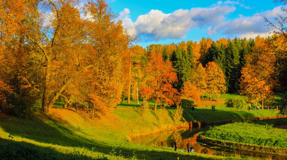 Photograph by Михаил Бояркин