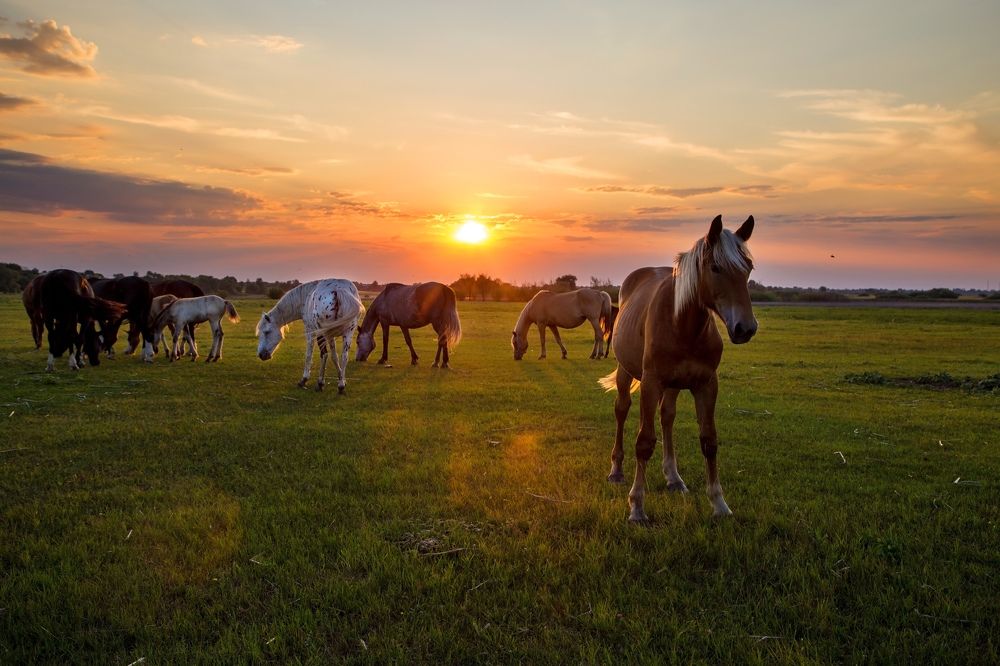 Photograph by Ольга
