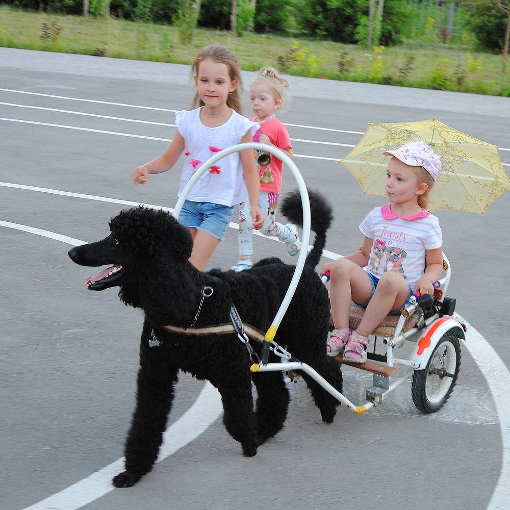 Photograph by Владимир Емельянов