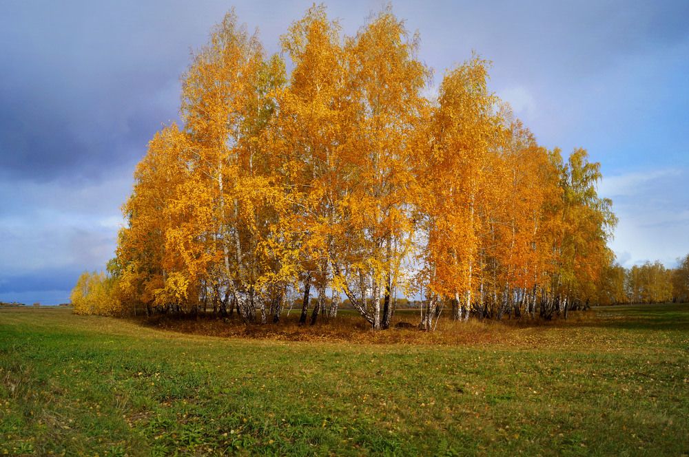 Photograph by Татьяна Мишустина