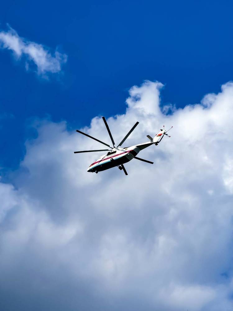 Sitting high, looking far