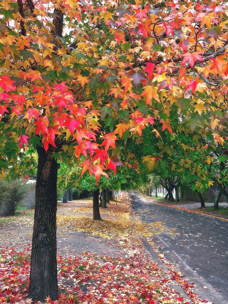 Photograph by Viviana García