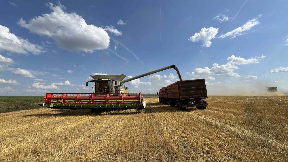 Photograph by Елена Гущина