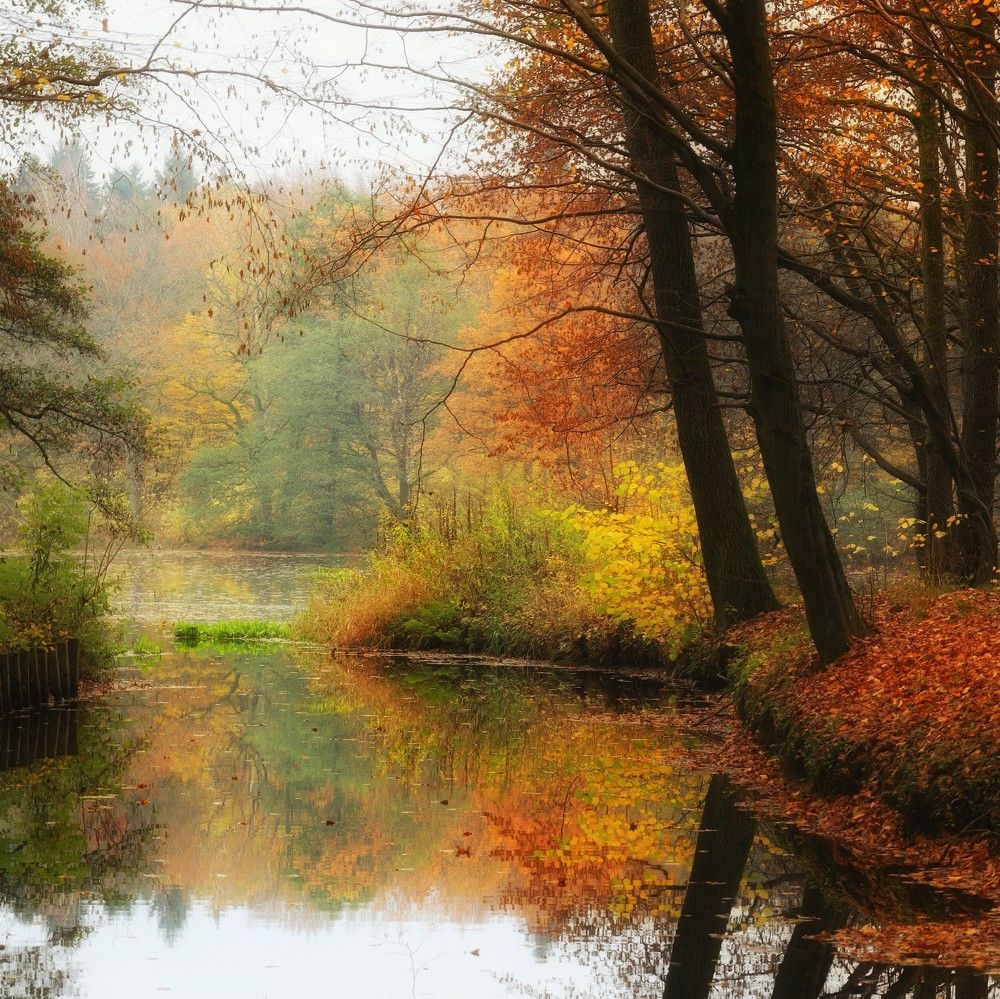 Photograph by Татьяна Максакова