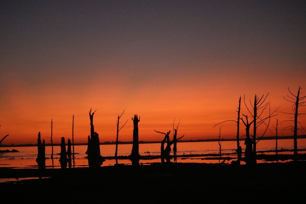 Photograph by Patricia Delionardis