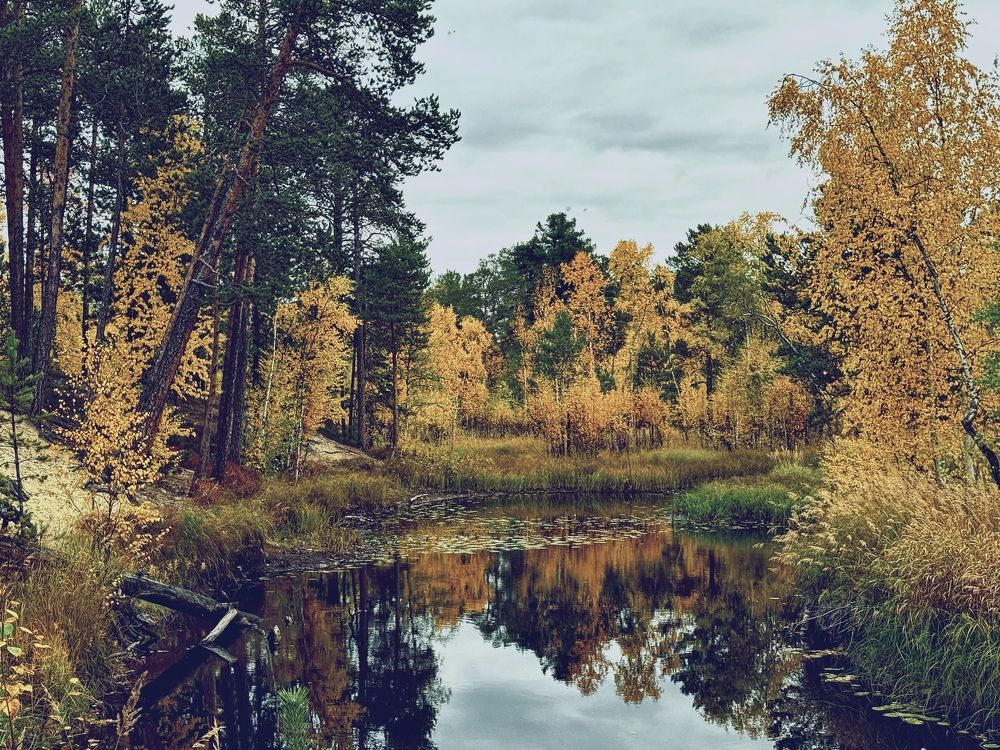 Photograph by Татьяна Блохина