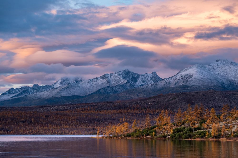 Фотография автора Алексей