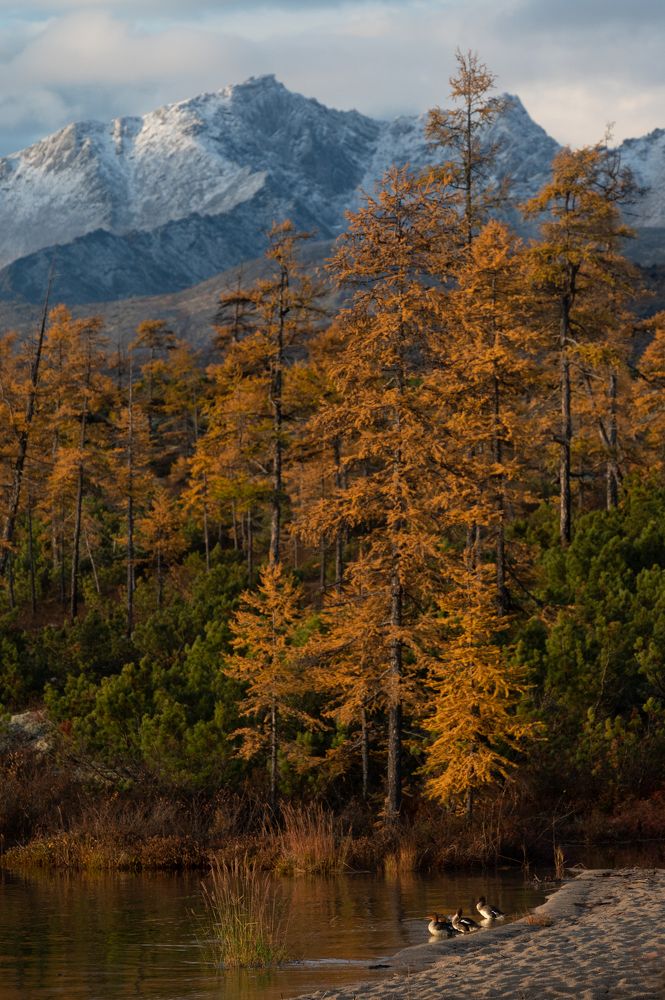 Фотография автора Алексей