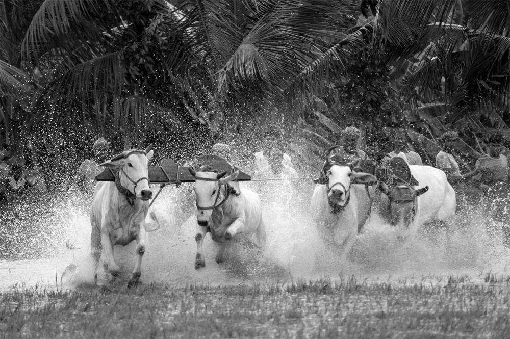 Photograph by Sharad Mansharamani