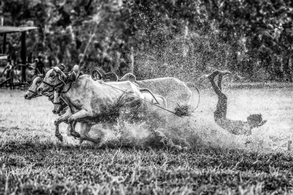 Photograph by Sharad Mansharamani