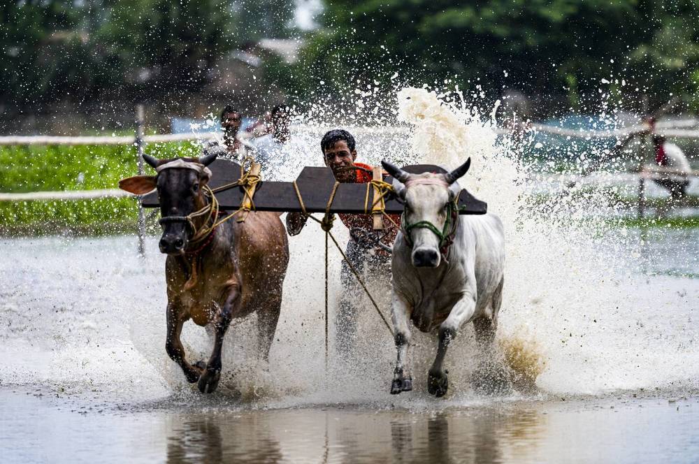 Photograph by Sharad Mansharamani