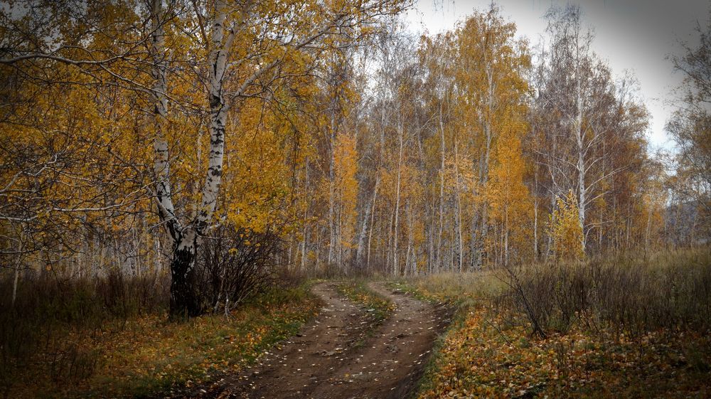 Photograph by Niyaz Mirhaydarov