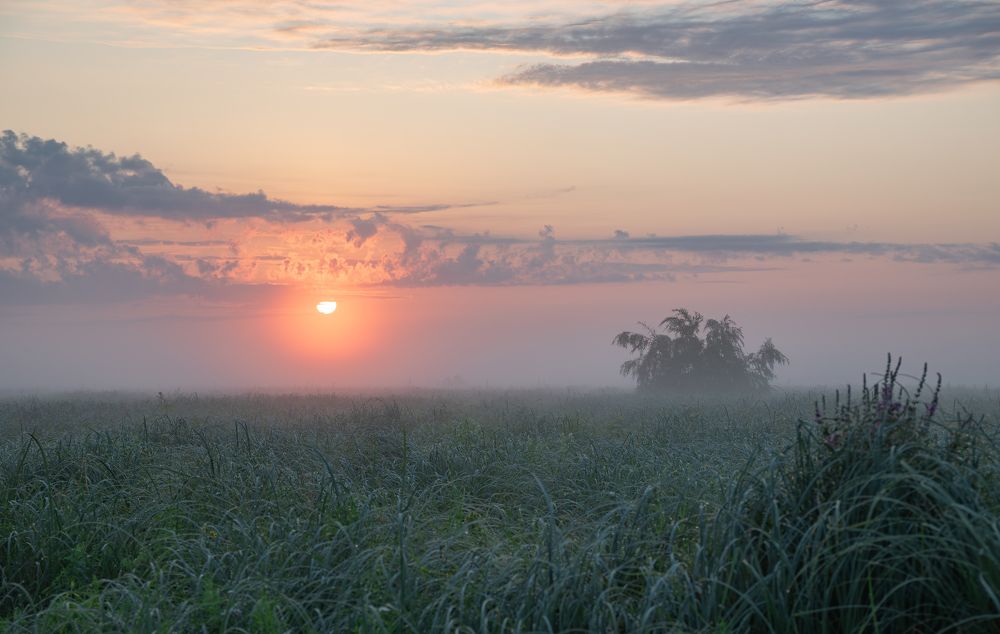 Photograph by Альварис Сукманюк