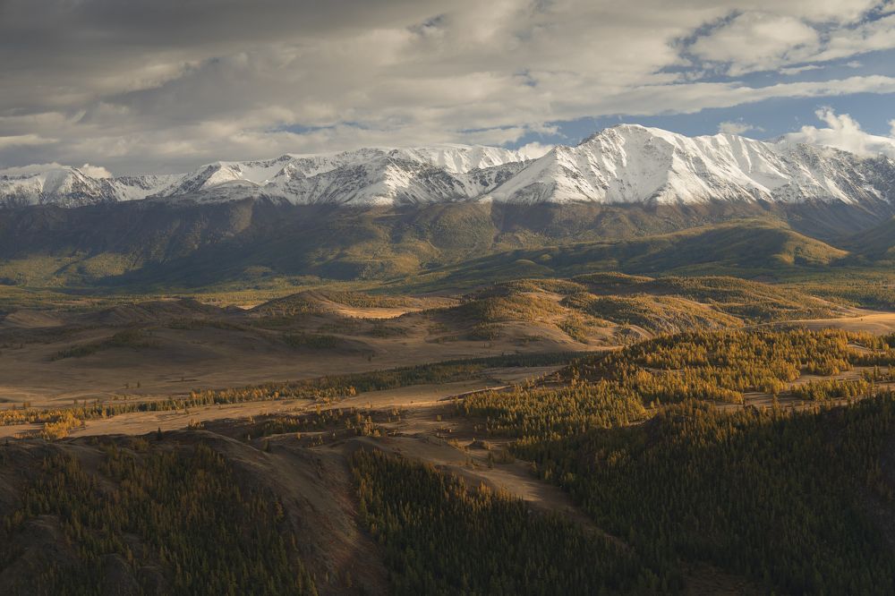 Фотография автора Ковалев Дмитрий