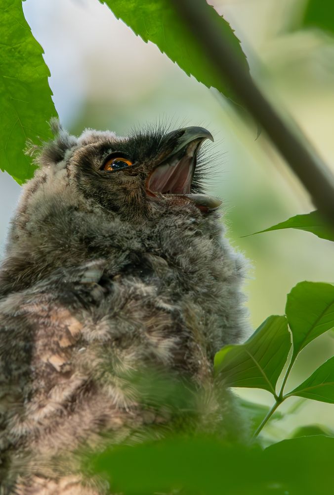 Photograph by Альварис Сукманюк