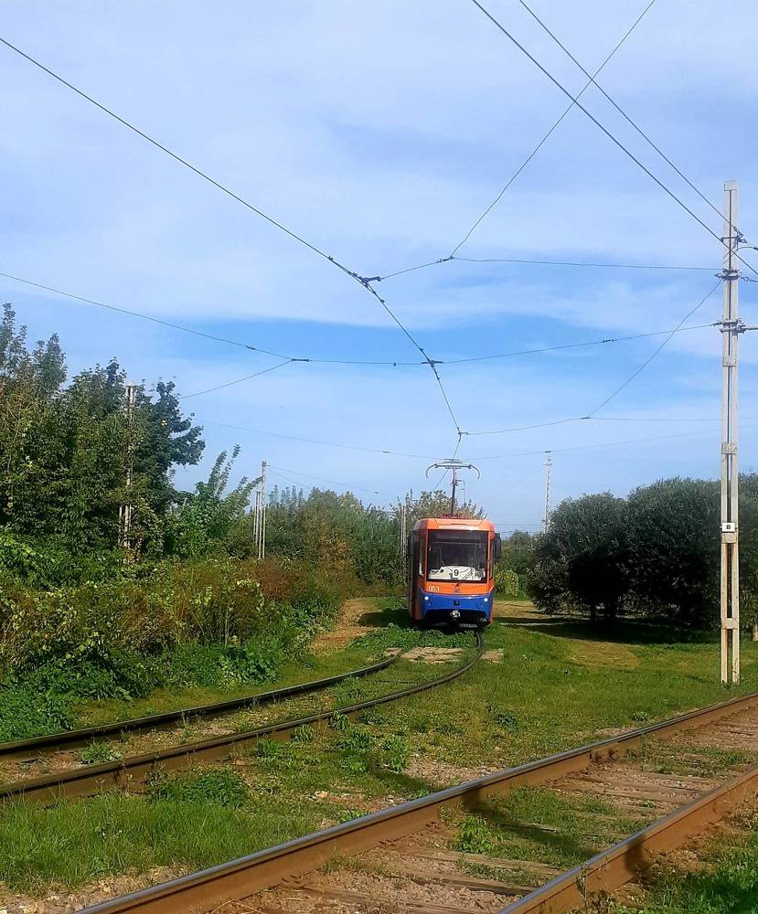 Photograph by Анастасия