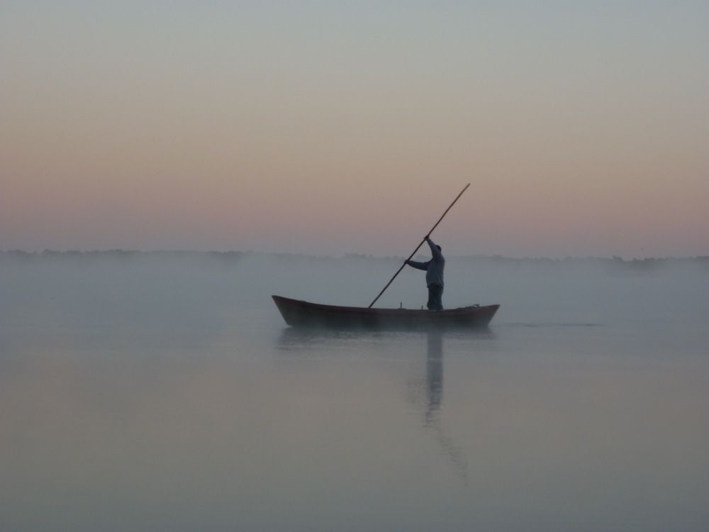 pescador de niebla