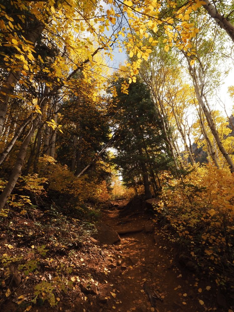 Photograph by Svetlana Kirzh