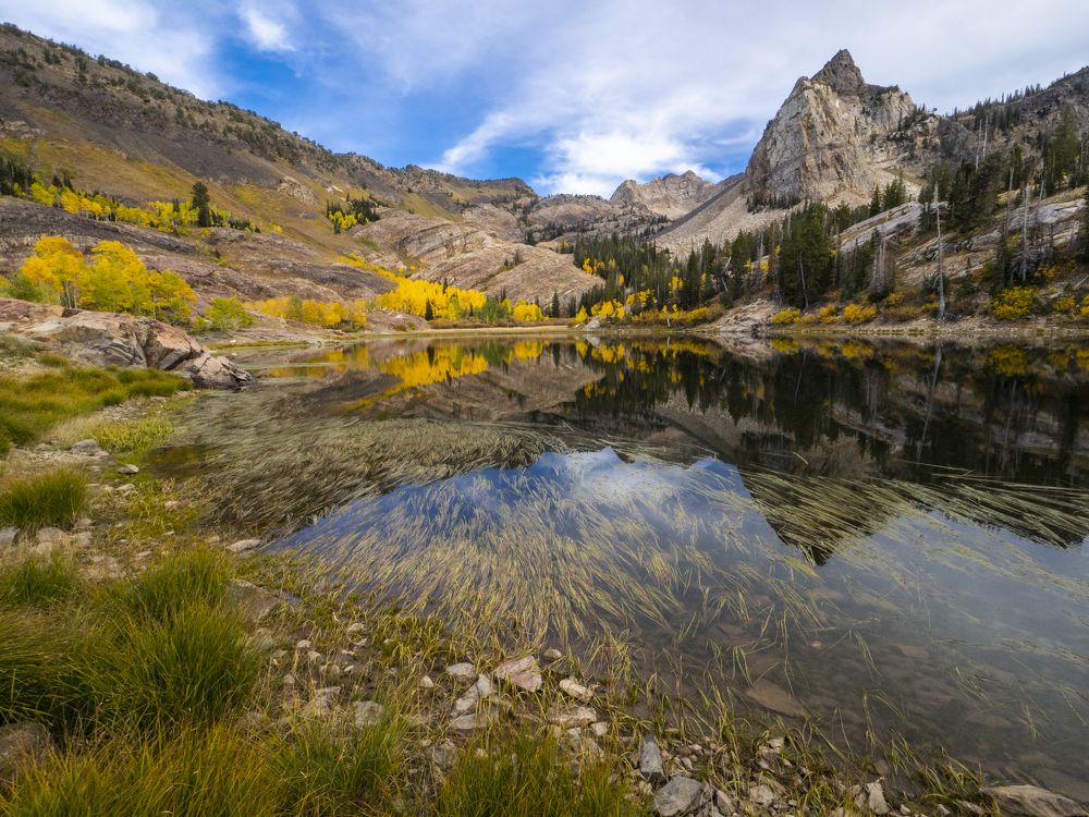 Photograph by Svetlana Kirzh