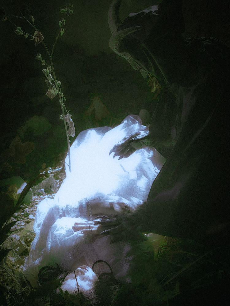 Фотография автора Светлана Зубова