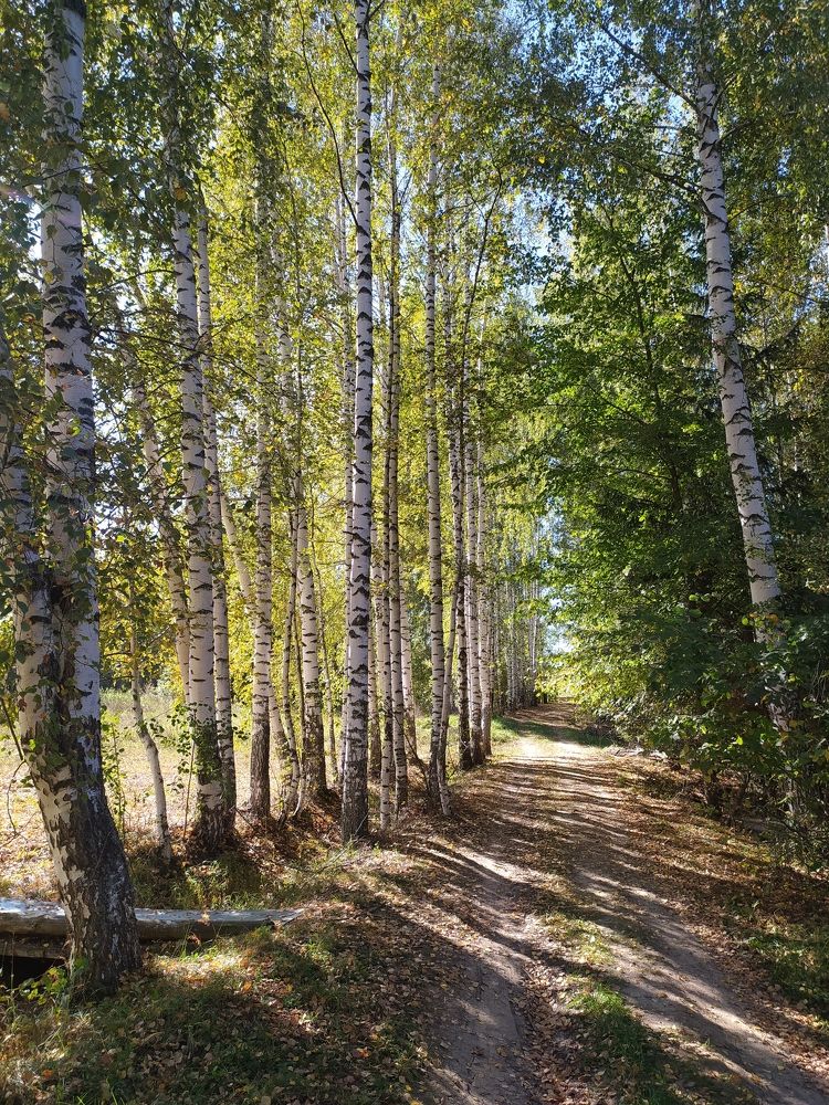 Photograph by Юрий Гордеев