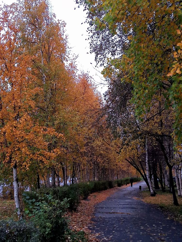 Photograph by Виталий Са