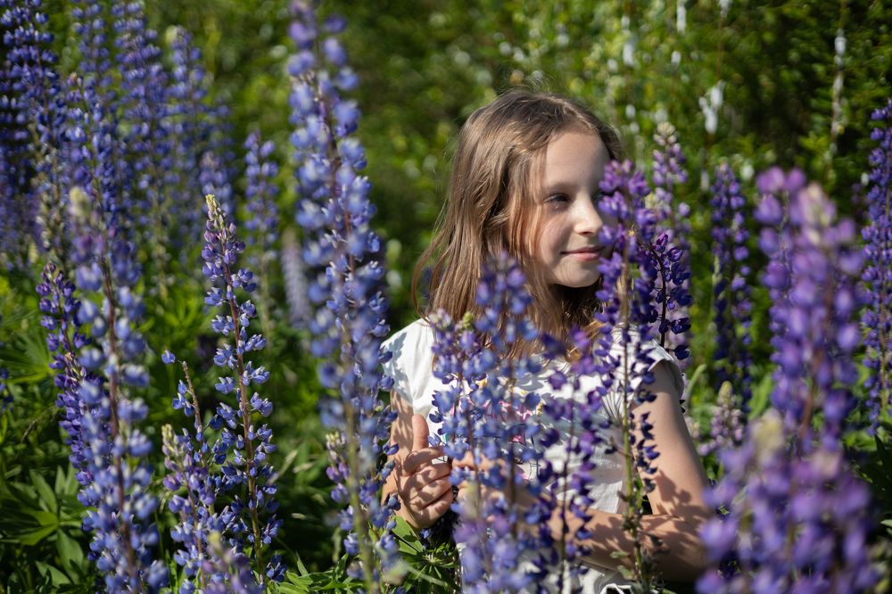 Фотография автора Алина Павлова