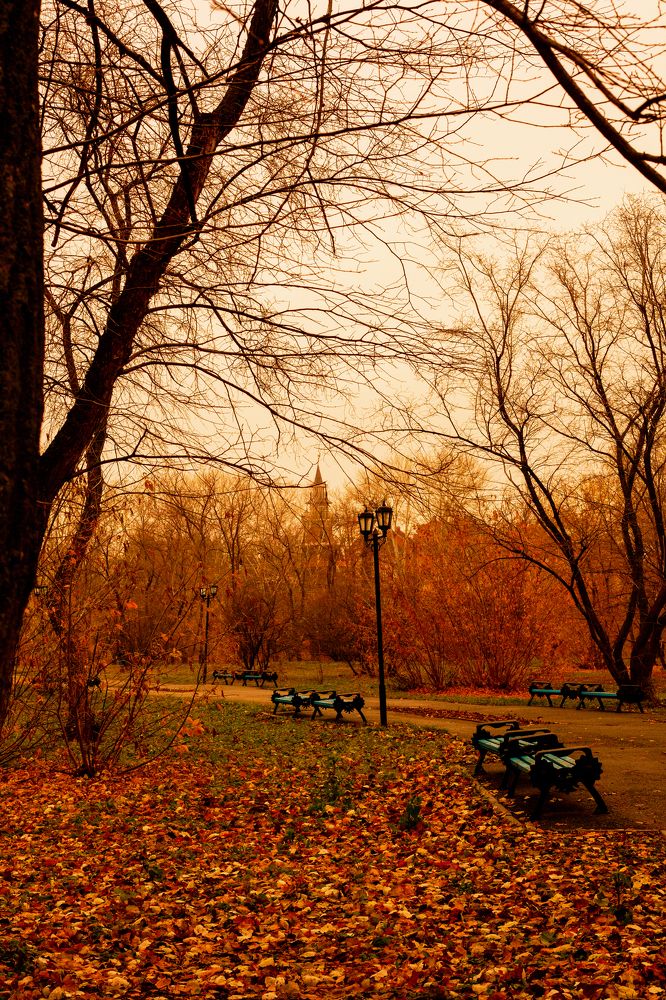 Photograph by Анастасия Сидранская