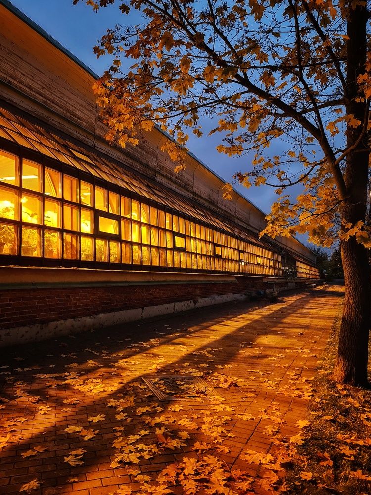 Photograph by Наталья Иванова