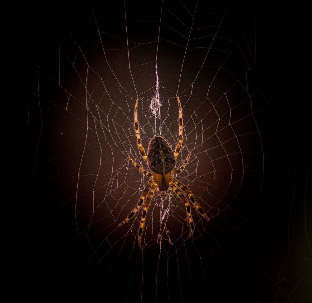 Photograph by Vitalii Kaznin