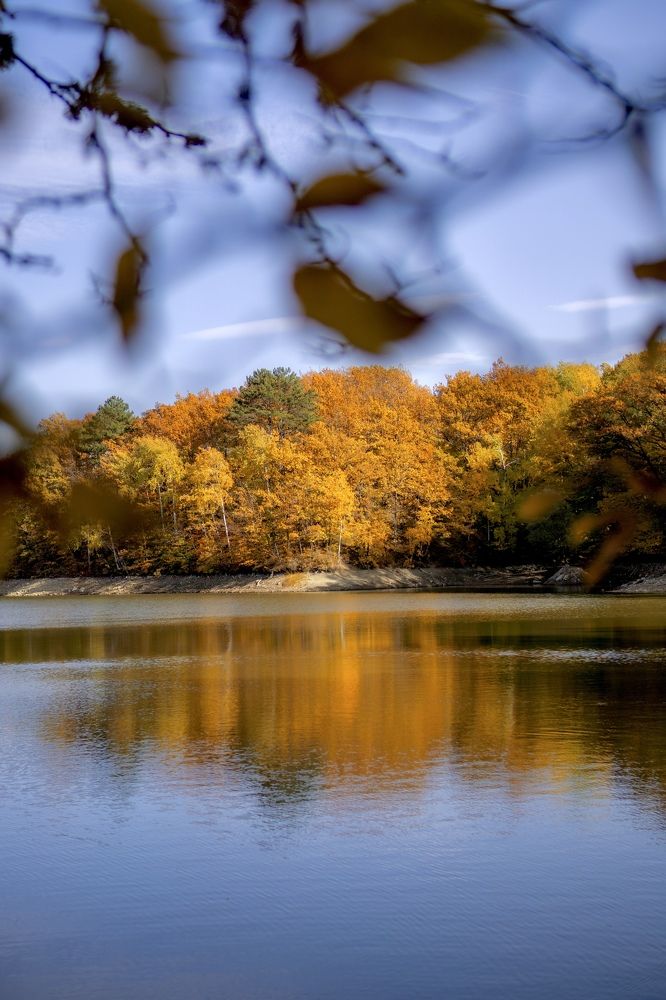 Photograph by Анна Изюмская