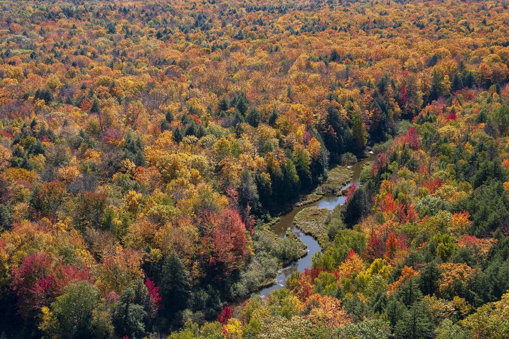 Photograph by Vladimir Vorobeychik