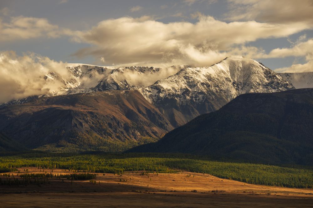Фотография автора Ковалев Дмитрий