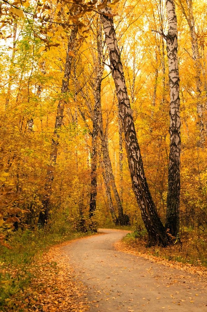 Photograph by Полина Котегова
